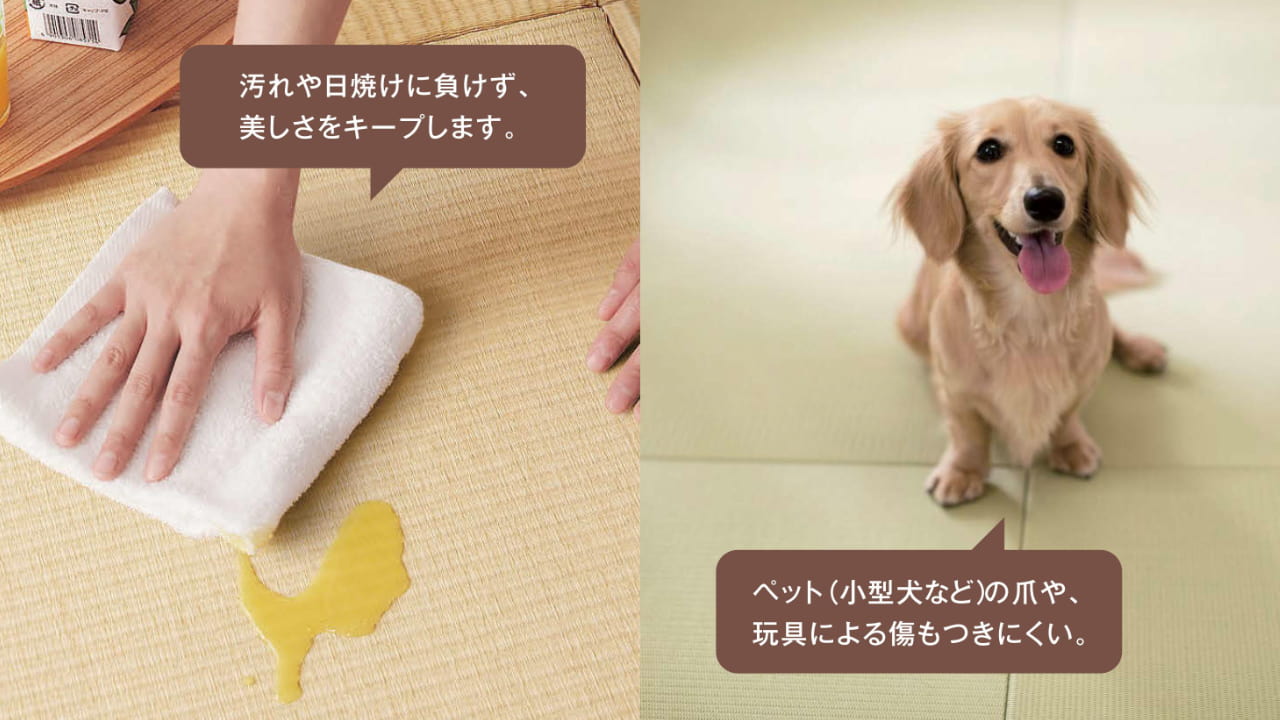 和紙畳